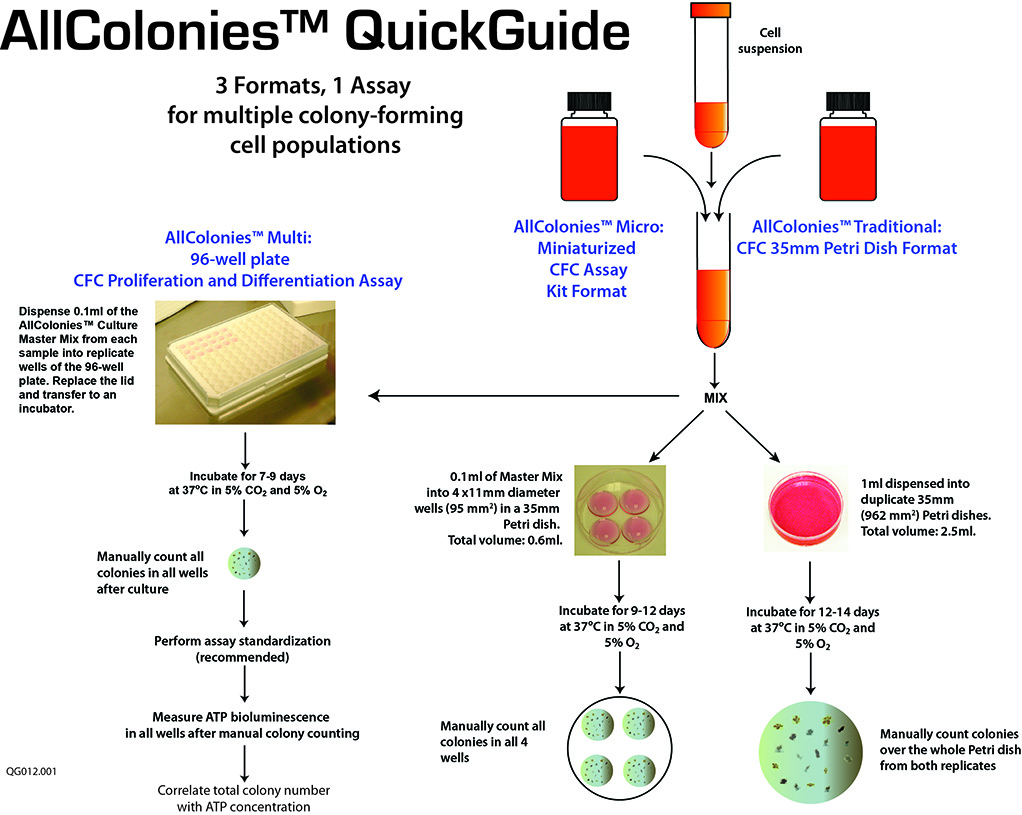 AllColonies™ Traditional, Micro or Multi: Detection of primitive hematopoietic stem cells